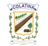 colatina-brasao